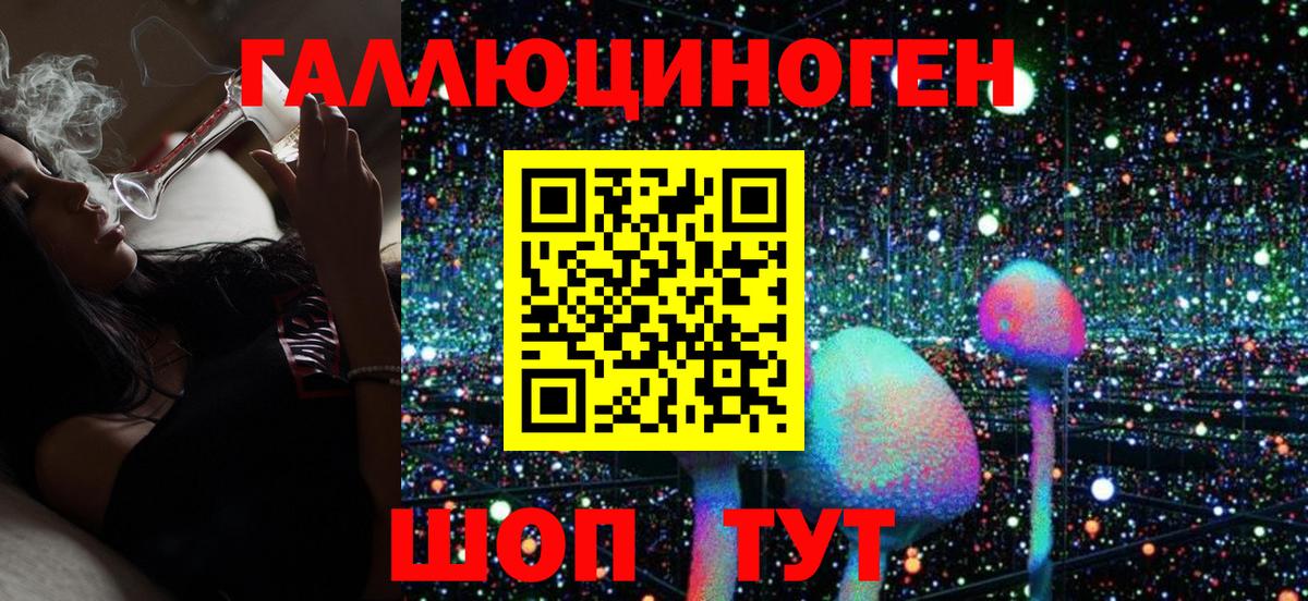 Псилоцибиновые грибы Cubensis Дубна