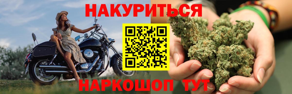 Канабис конопля Дубна